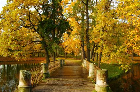 Парк и природа: