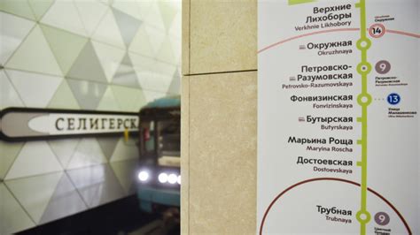 Первая процедура по подготовке к открытию салатовой ветки
