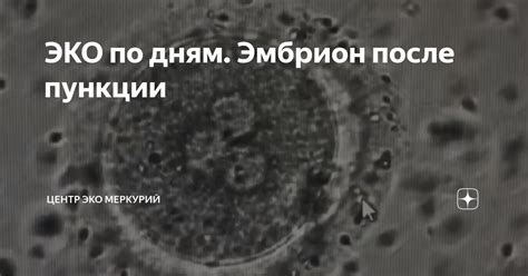 Первое время после пункции