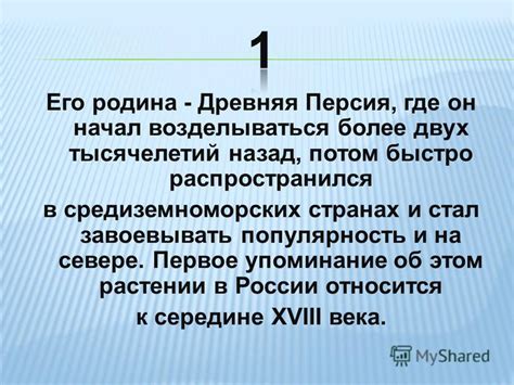 Первое упоминание и дальнейшая популярность