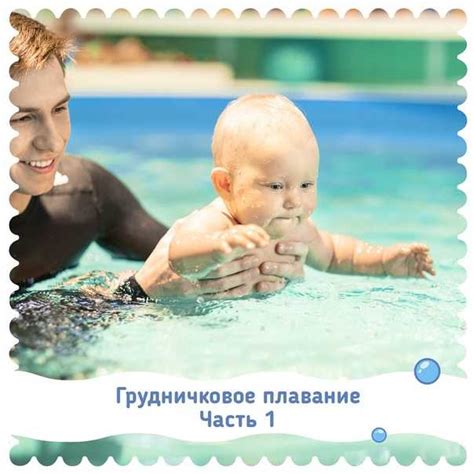 Первые дни после стерилизации: что нужно знать о купании