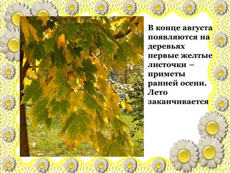 Первые предложения появляются в конце осени