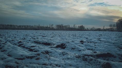 Первые признаки приближающегося потепления и окончания дождей