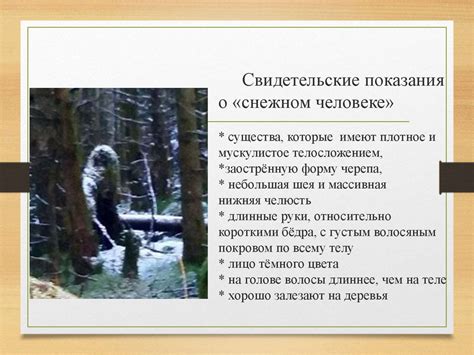 Первые свидетельства о снежном человеке