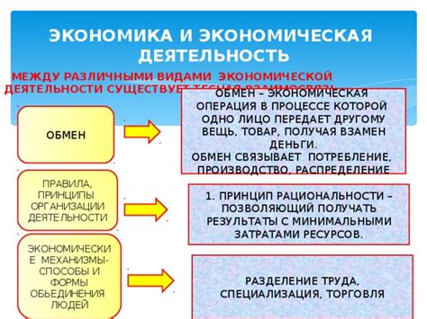 Первые формы экономической организации труда
