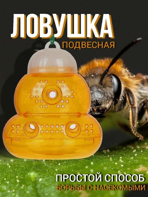 Первые шаги для преодоления фобии ос и пчел