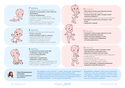 Первые этапы развития