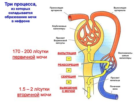 Первый способ: фильтрация