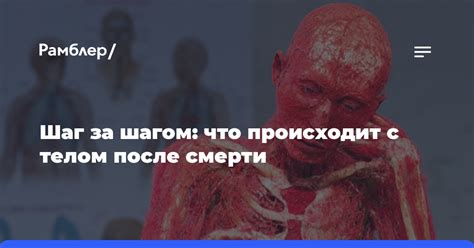 Первый шаг после смерти