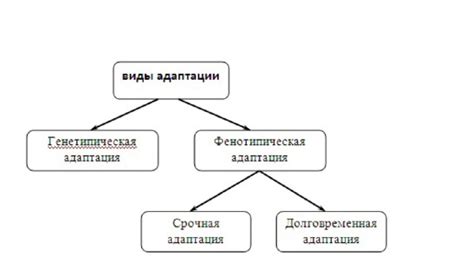 Перевод и адаптация в различных странах