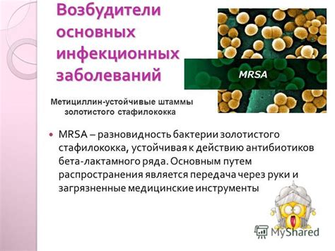 Передача золотистого стафилококка через слюну