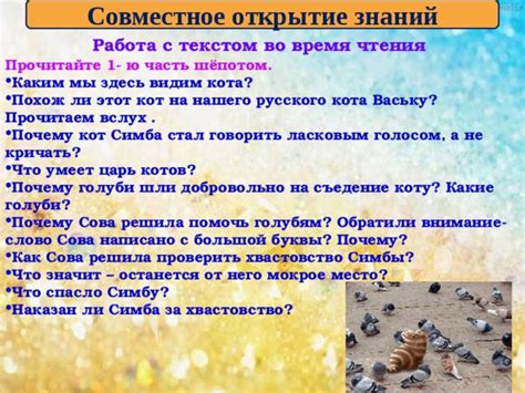 Периодические перерывы и внимание к коту во время поездки