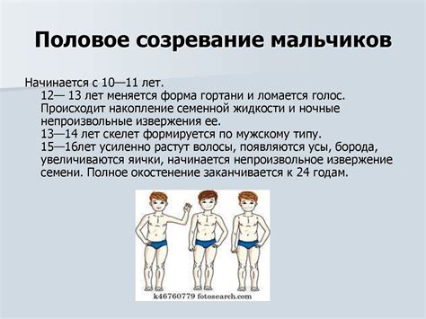 Период полового созревания