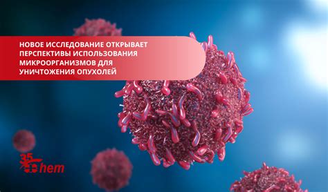 Перспективы борьбы с раком: новые надежды