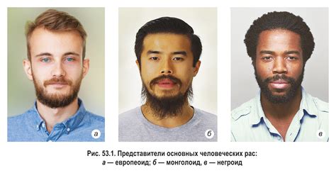 Перспективы будущего: расы и их взаимодействие