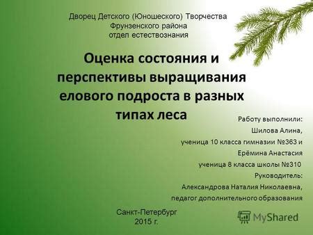 Перспективы и возможности выращивания леса на сельхозназначении