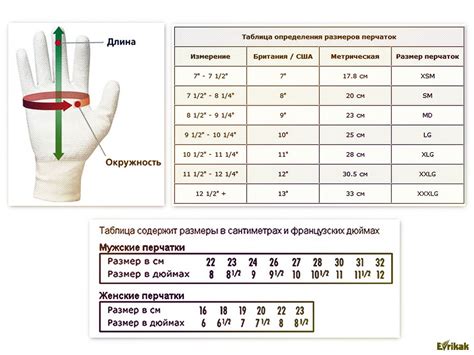 Перчатки как символ статуса женщины