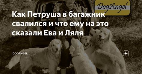 Петруша устроился на работу в семью Барторе