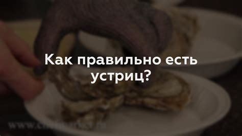 Питательная ценность устриц