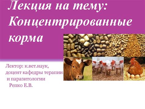 Питательность корма