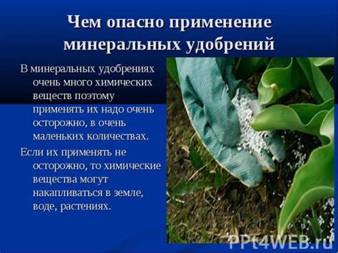 Питательные вещества в удобрениях