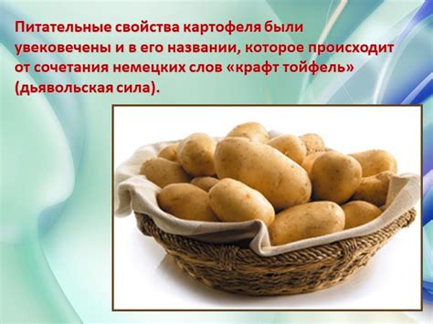 Питательные свойства картофеля для питомцев