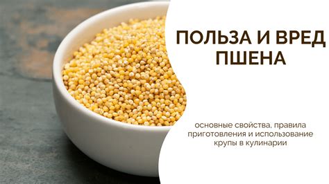 Питательные свойства сырого пшена