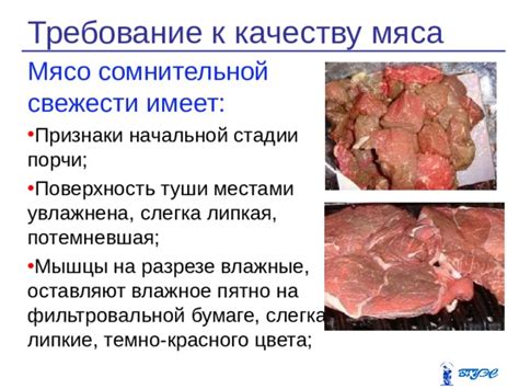 Плавучесть мяса и другие признаки потери свежести