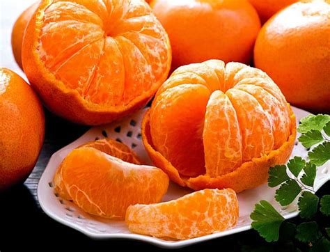Плодоношение и урожай мандарина: как получить вкусные и сочные плоды