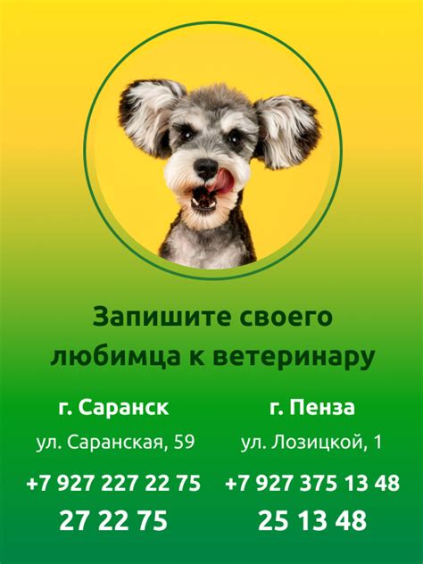 Плюсы и минусы кастрации