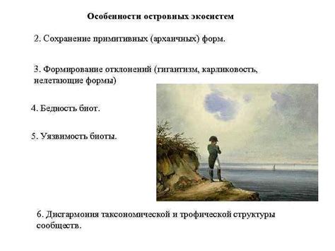 Поведенческие особенности островных популяций ос