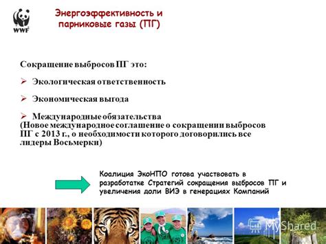Повторное применение тонера: экологическая и экономическая выгода