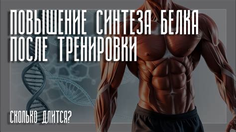 Повышение синтеза белка