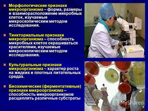 Повышенная активность кислотообразующих микроорганизмов