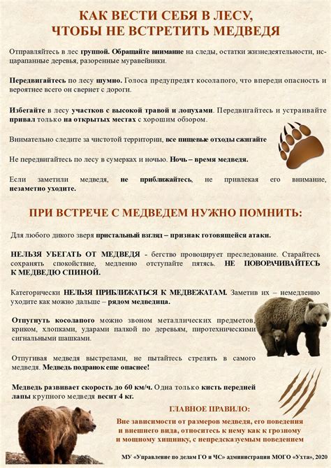 Повышенная опасность встречи с животными