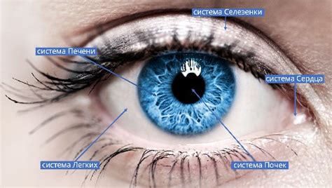 Повышенная ясность зрения