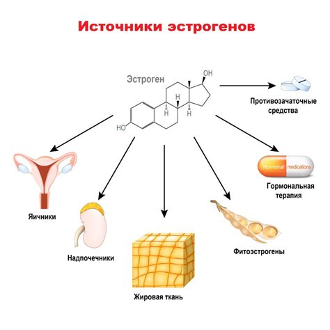 Повышенный эстроген у мужчин: причины и последствия