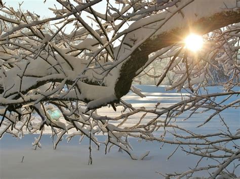 Погода на курортах во время новогодних праздников