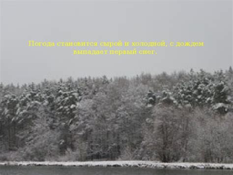 Погода становится холодной