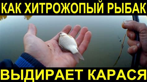Погодные условия, которые влияют на активность карасей в октябре