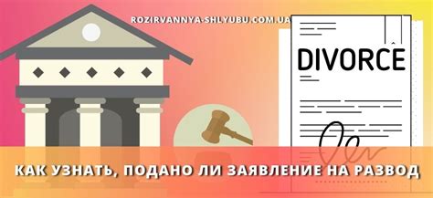 Подача на развод: как узнать, подавал ли человек на развод и как провести проверку
