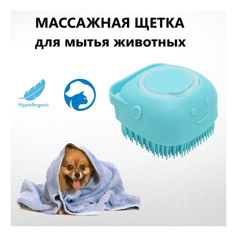 Подбор и использование шампуня для мытья котов
