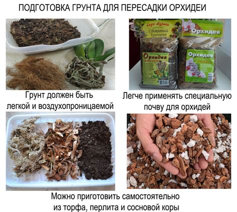 Подготовка горшка для пересадки