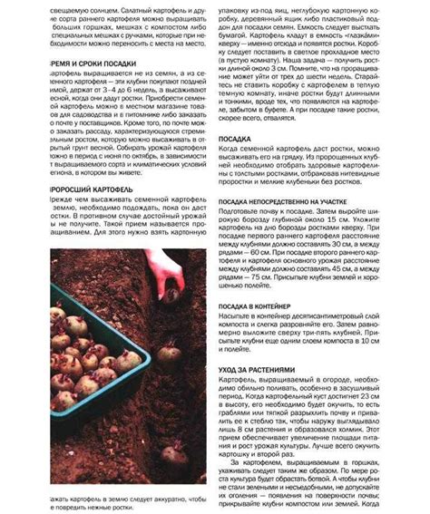 Подготовка грунта и клубней