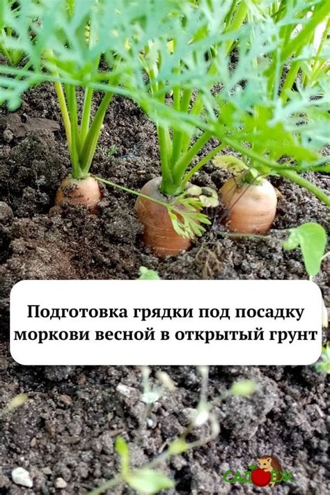 Подготовка грядки