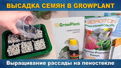 Подготовка контейнера и субстрата