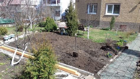 Подготовка к выращиванию камнеломки