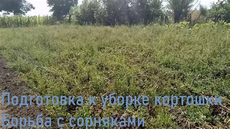 Подготовка к уборке