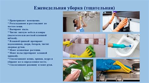 Подготовка к чистке: уборка и энергетическая подготовка
