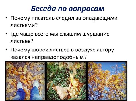 Подготовка листьев к замораживанию